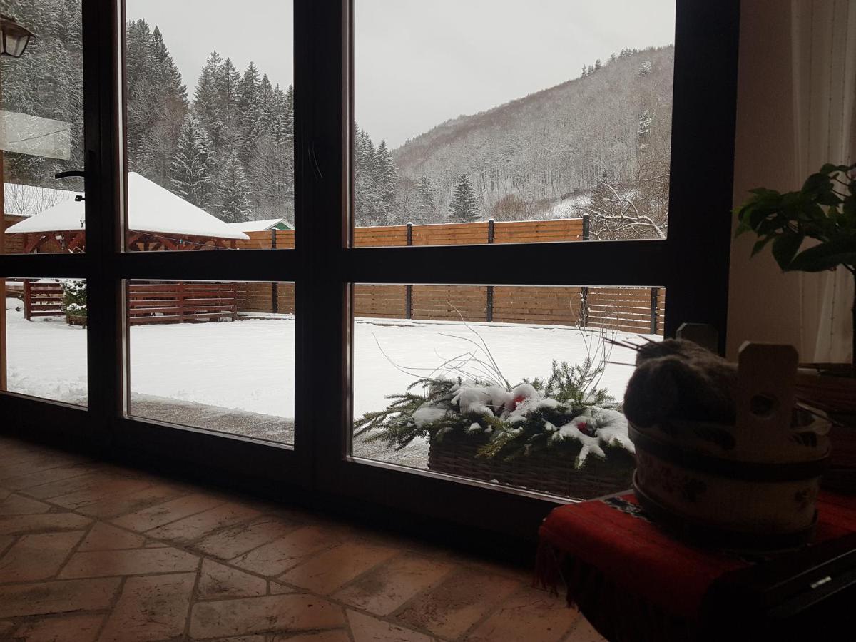 Sura Lu' Vasile. Bed & Breakfast Crivina  Екстериор снимка