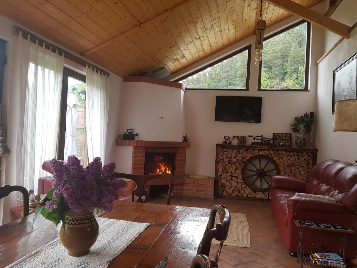 Sura Lu' Vasile. Bed & Breakfast Crivina  Екстериор снимка