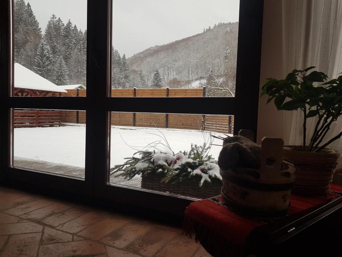 Sura Lu' Vasile. Bed & Breakfast Crivina  Екстериор снимка