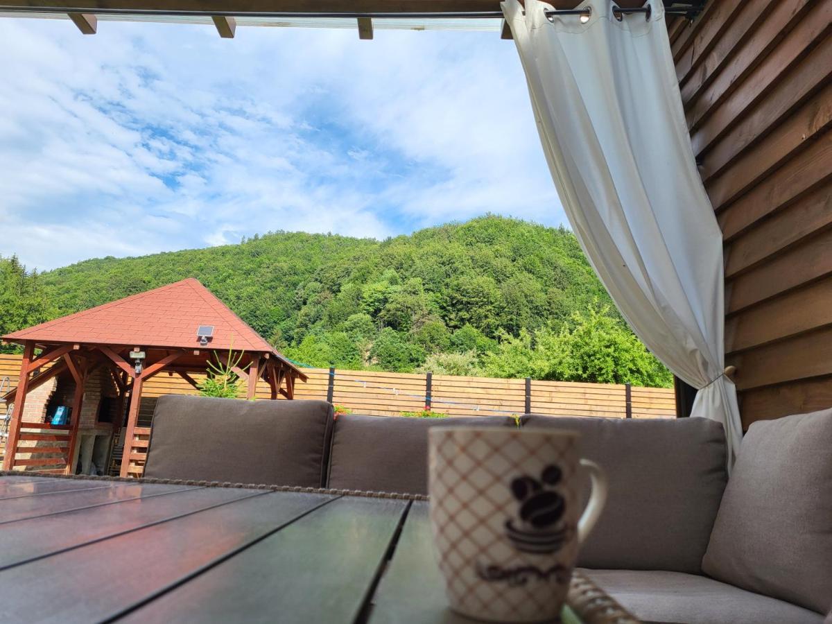 Sura Lu' Vasile. Bed & Breakfast Crivina  Екстериор снимка