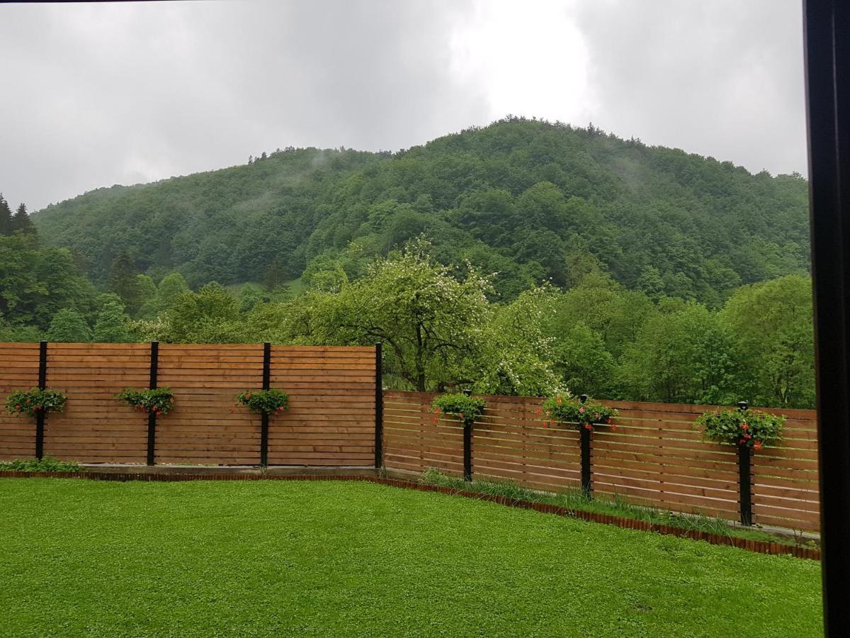 Sura Lu' Vasile. Bed & Breakfast Crivina  Екстериор снимка