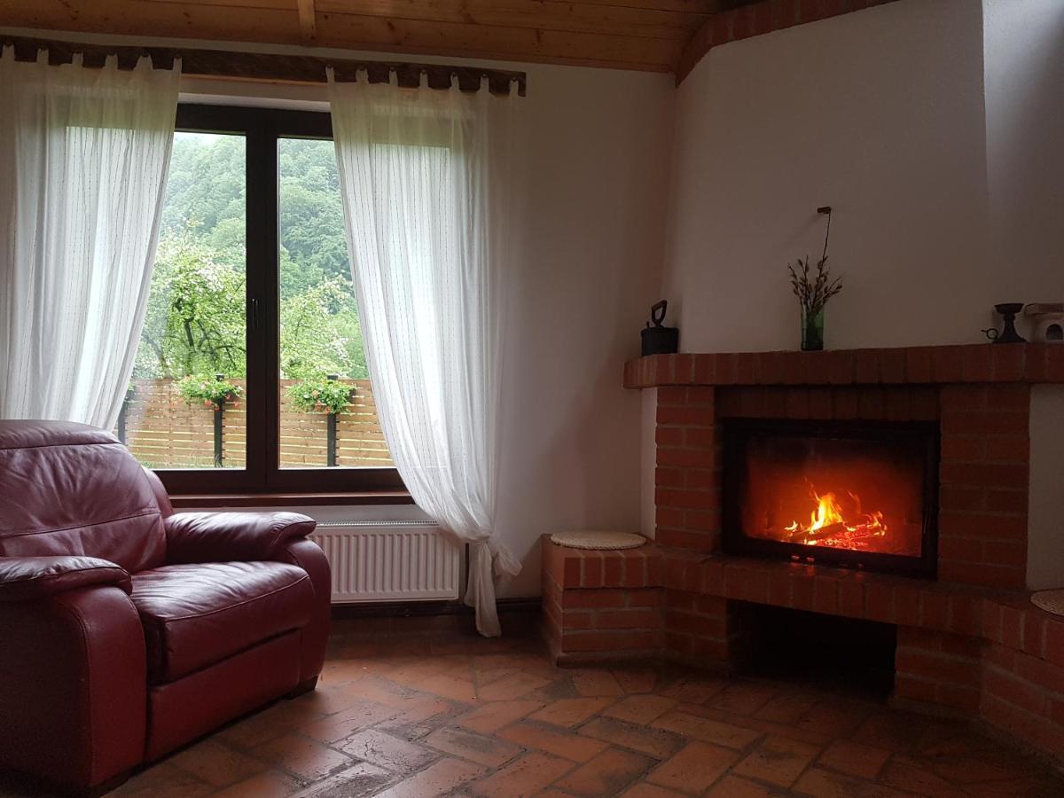 Sura Lu' Vasile. Bed & Breakfast Crivina  Екстериор снимка